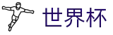 2026FIFA世界杯(FIFA World Cup)中国竞彩指定平台